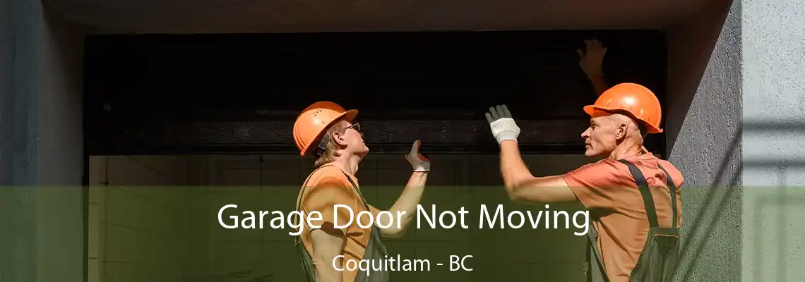 Garage Door Not Moving Coquitlam - BC