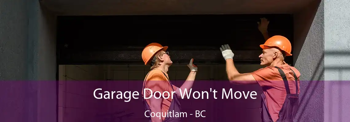  Garage Door Won't Move Coquitlam - BC